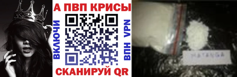 даркнет сайт мориарти Telegram Альфа ПВП крисы CK Асино