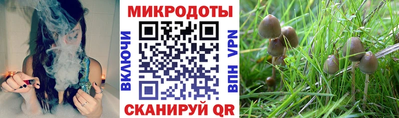 Галлюциногенные грибы ЛСД  блэк спрут зеркало  Асино 